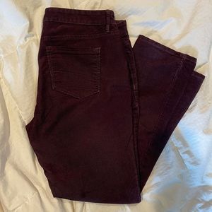 Loft Jeans - perfect for fall